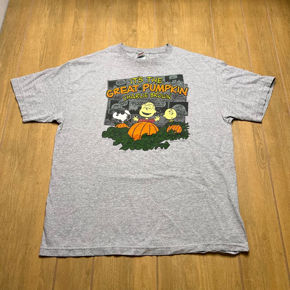 Peanuts It’s The Great Pumpkin Charlie Brown T-Shirt Halloween Sz‎ XL Y2K